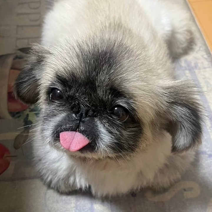 ☔️雨が上がった一瞬の晴れ間、自分のケアはいかがですか?♀