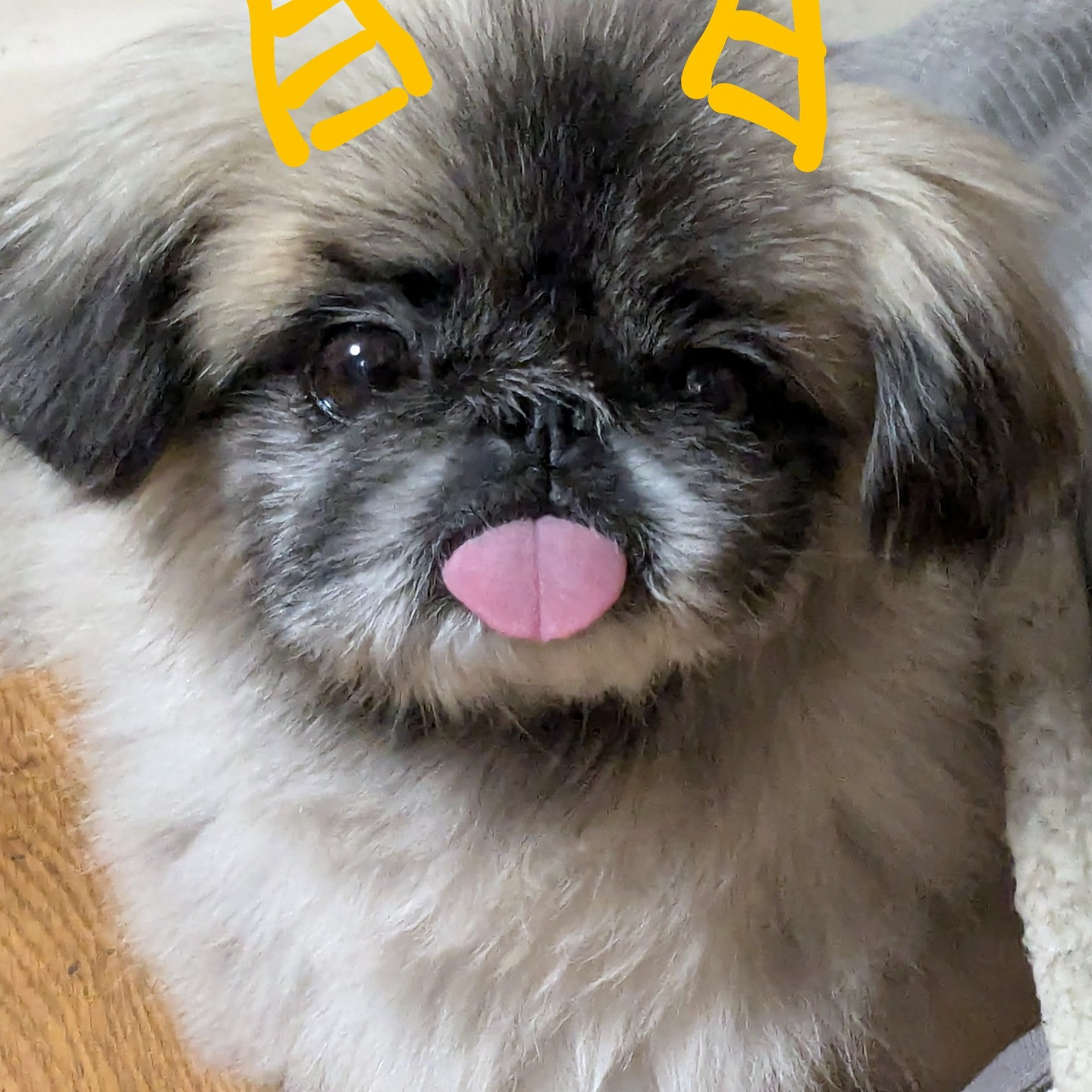 こんにちは✨皆様、昨日の節分の日に恵方巻きを食べましたか?今