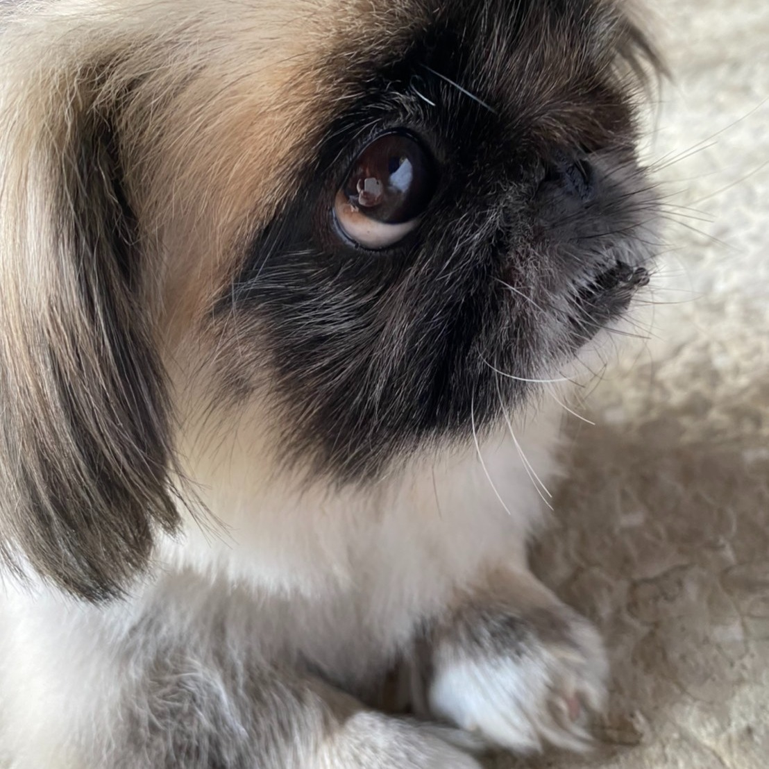 秋の訪れが感じられる今日この頃、皆さまいかがお過ごしでしょう