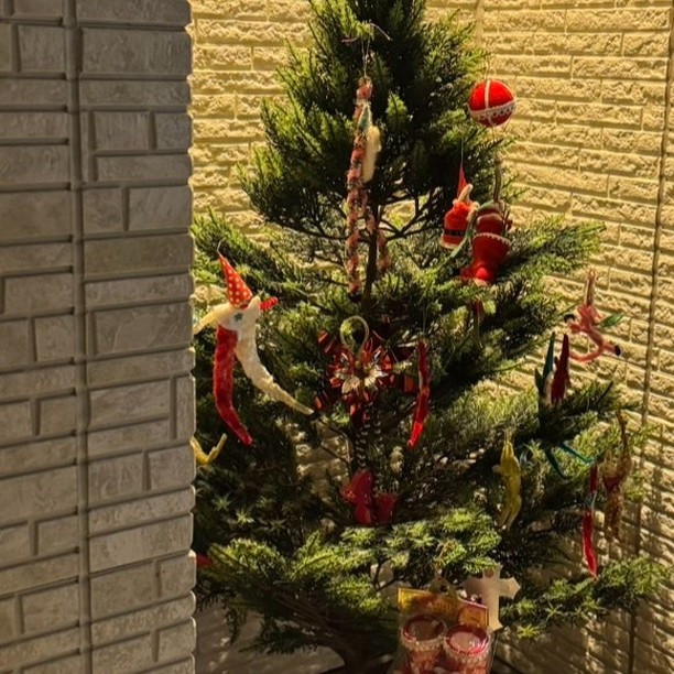 ✨こんにちは皆様!12月になりましたね❄️✨時が過ぎるのを感