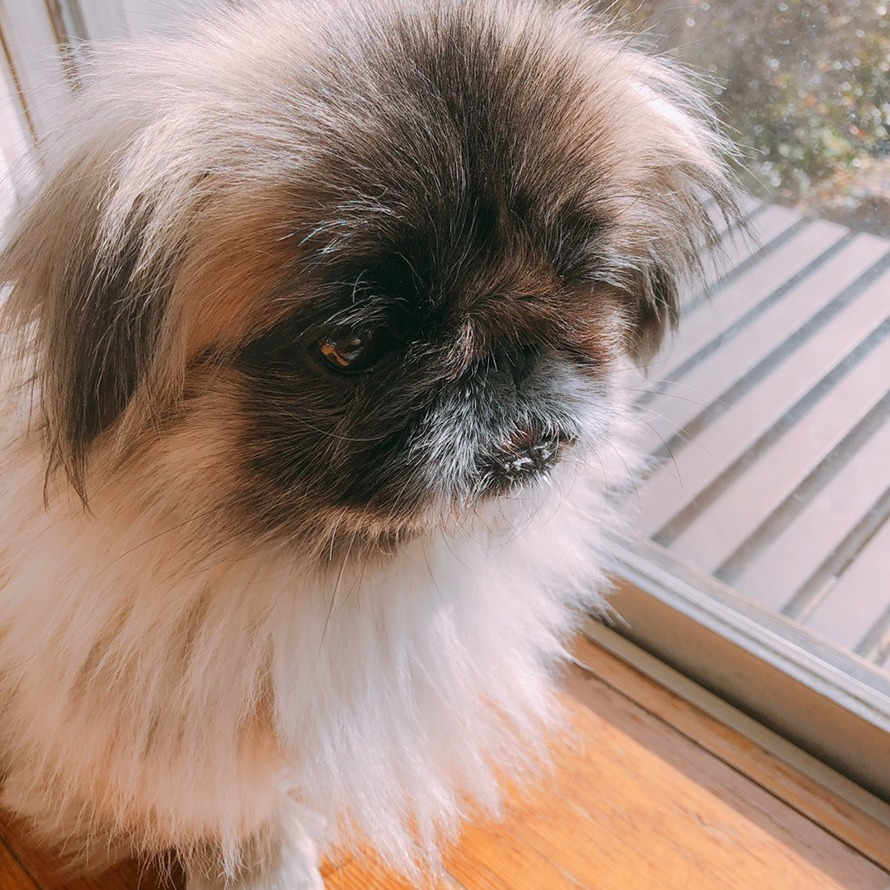 秋の訪れと共に、肌寒い季節がやってきましたね