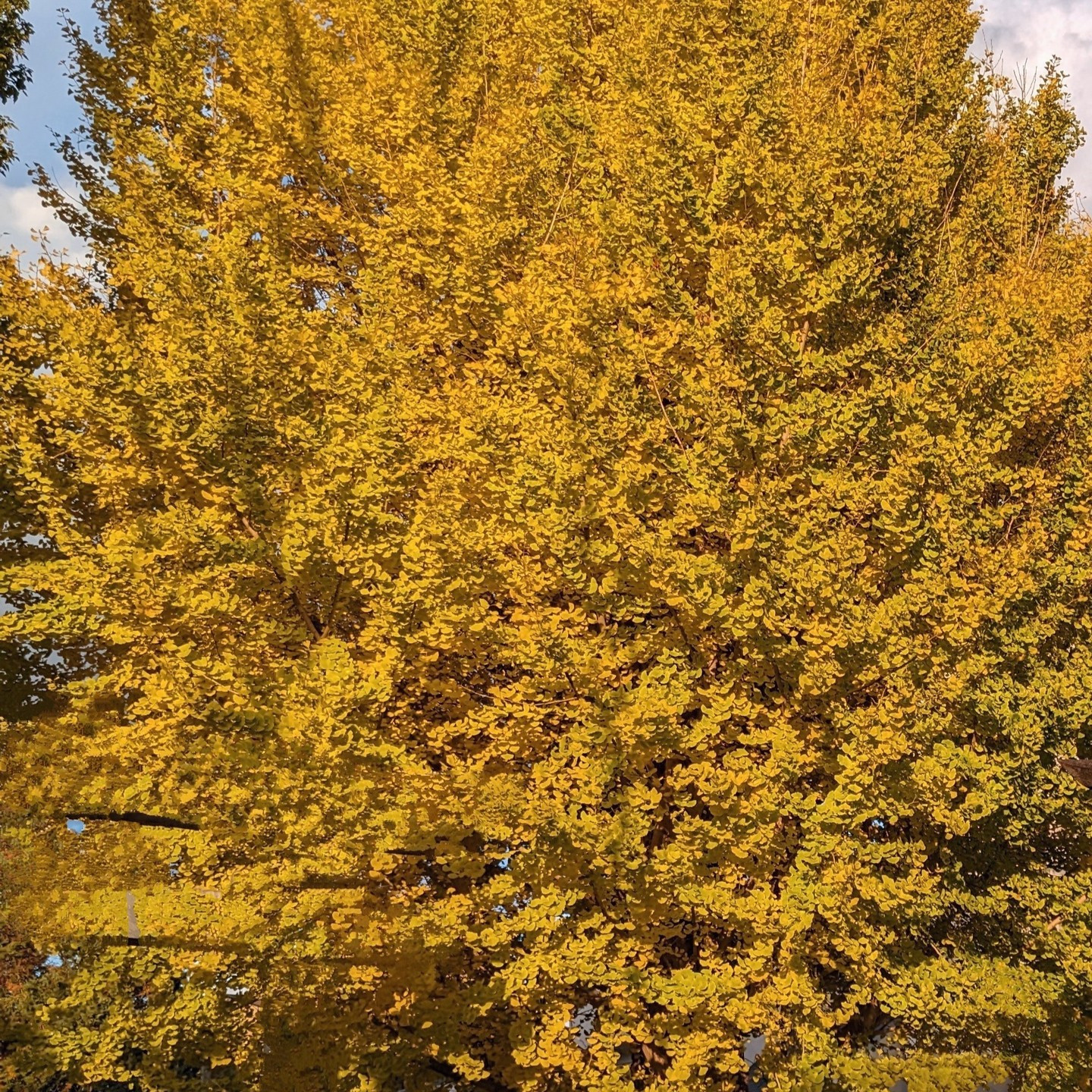 こんにちは 今日は寒いですね❄️ お天気もどんよりとしていま